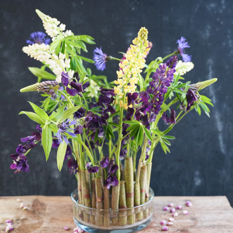 Lebhaftes Arrangement aus Lupinen und anderen Blumen, gesichert durch einen 120 mm großen Kenzan an der Basis, vor einem dunklen Hintergrund mit verstreuten Blütenblättern.