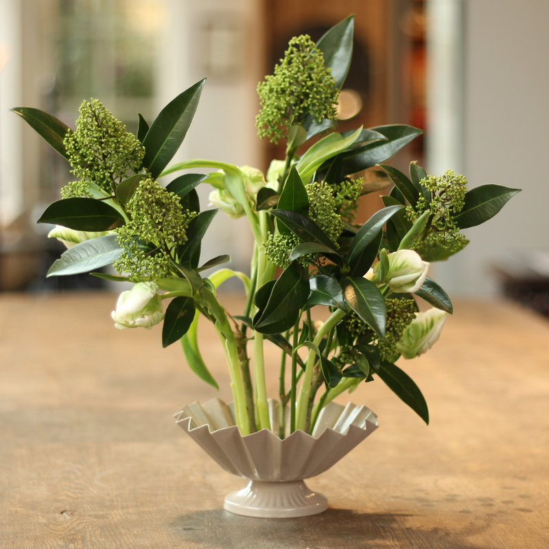 Elegantes Blumenarrangement mit grünen Knospen und üppigen Blättern in einer klassischen weißen geriffelten Vase, die auf einem Kenzanring verankert ist, präsentiert auf einer hölzernen Oberfläche mit einem sanft verschwommenen Hintergrund.