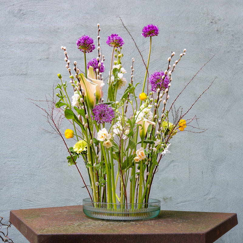 Ein vielseitiges Ikebana-Arrangement mit Allium, Calla-Lilien und Pussy-Weide, verankert durch einen 200-mm-Kenzan-Fakir-Ring, vor einem strukturierten grauen Hintergrund.