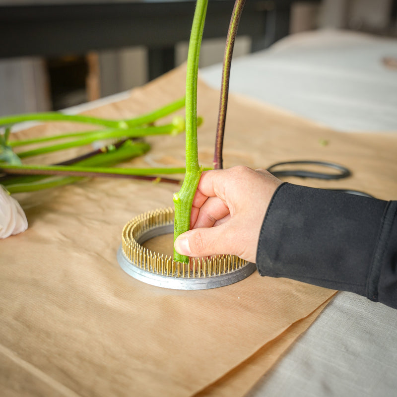 Beispiel für ein Blumenarrangement mit dem Kenzan Ring 120mm zur Demonstration von Benutzerfreundlichkeit und Effektivität