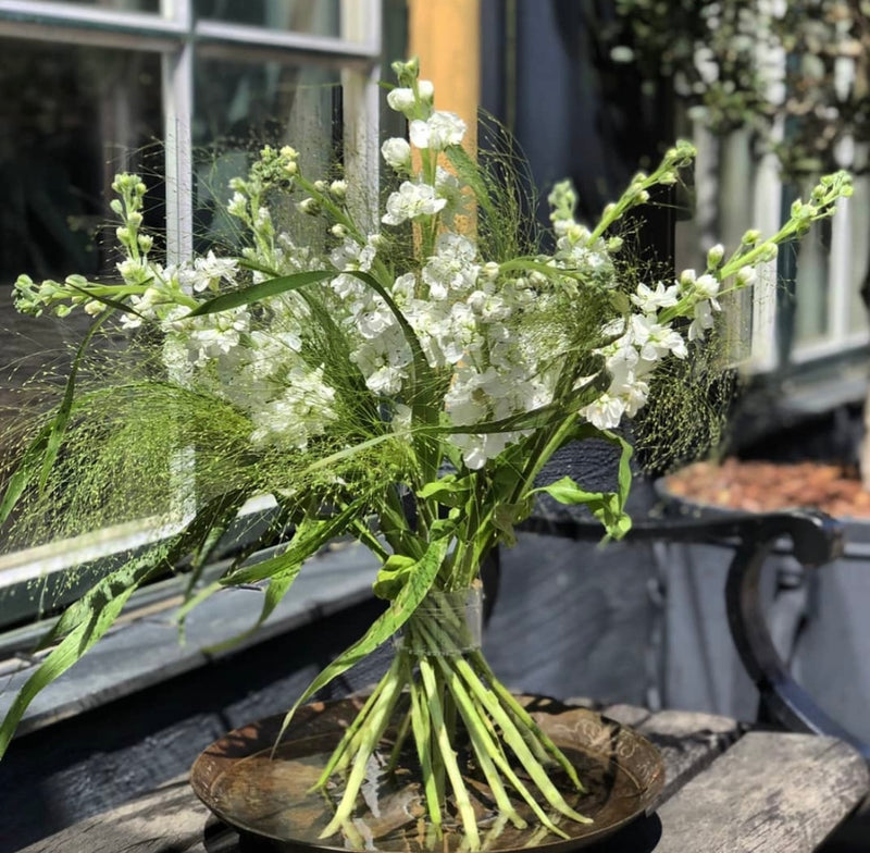 Ein Ikebana-Arrangement mit einer Auswahl zarter weißer Blumen, ergänzt durch einen kristallklaren Hanataba-Spiralstängelhalter für einen modernen Touch.