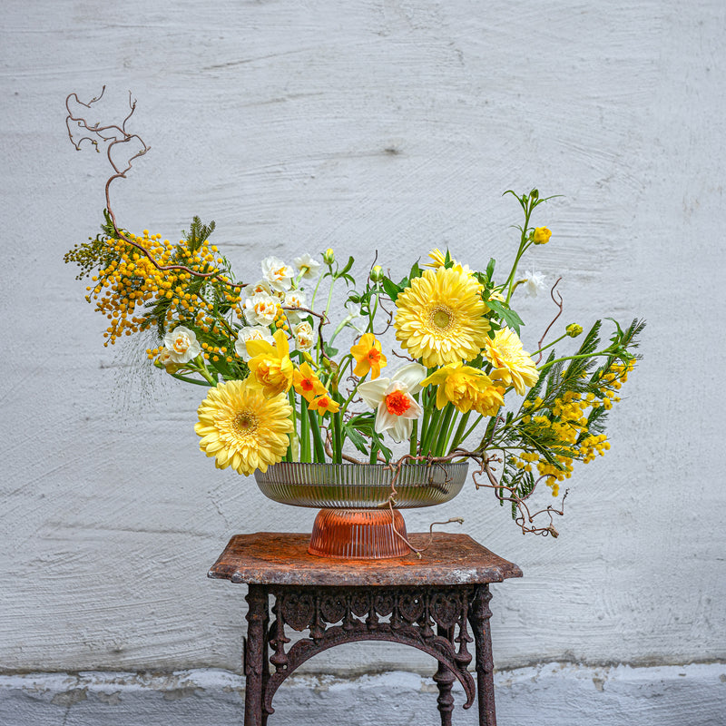 Ein lebhaftes Blumenarrangement mit gelben Gerberas, Narzissen und Mimosen, verankert durch einen 200mm Kenzan Fakir Ring vor einer weißen Wand auf einem antiken Tisch.