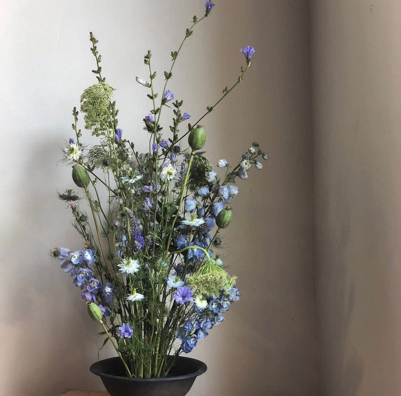 Eine eklektische Mischung aus blauen und weißen Wildblumen mit zartem Grün, ausgestellt in einer dunklen Schale auf einem Kenzanring, vor einem neutralen Hintergrund.