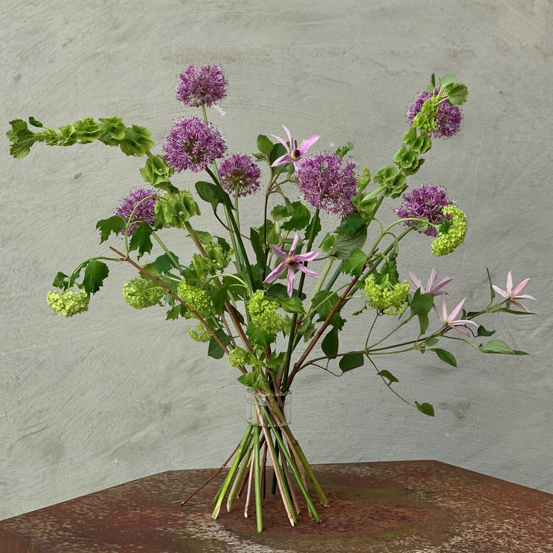 Ein Hanataba Bouquet Twister fixiert eine leuchtende Reihe violetter Alliumblüten und zartrosa Blumen vor einem gedämpften Wandhintergrund.