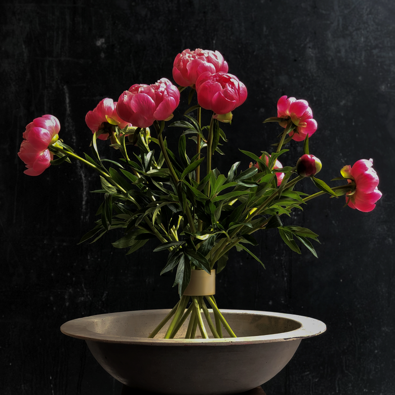 Ein Hanataba Champagne Gold Bouquet Twister mit leuchtend rosa Pfingstrosen vor einem dunklen Hintergrund, der eine luxuriöse und kühne Ästhetik verkörpert.