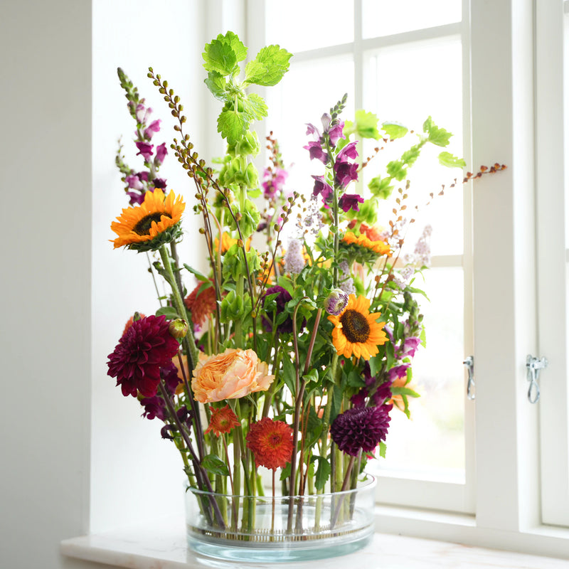  Ein üppiges und farbenfrohes Arrangement gemischter Blumen, darunter orangefarbene Calendulas, violette Löwenmäulchen und tiefrote Dahlien, gesichert durch einen 200-mm-Kenzan-Ring auf einer Fensterbank, beleuchtet durch natürliches Licht.