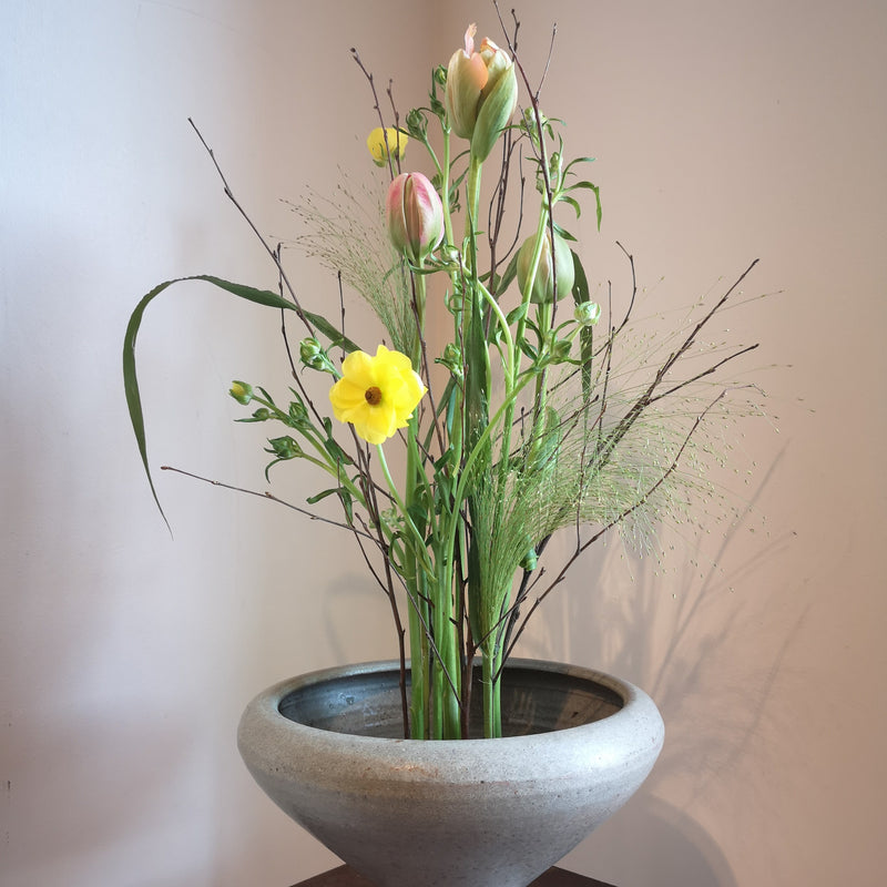  Ein heiterer Blumenschmuck mit einer gelben Narzisse und zartrosa Tulpen, die alle von einem 70 mm großen Kenzan-Ring in einer Steinschale gehalten werden.